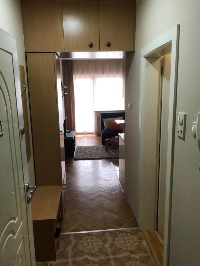 Studio Sajam Novi Sad Bagian luar foto