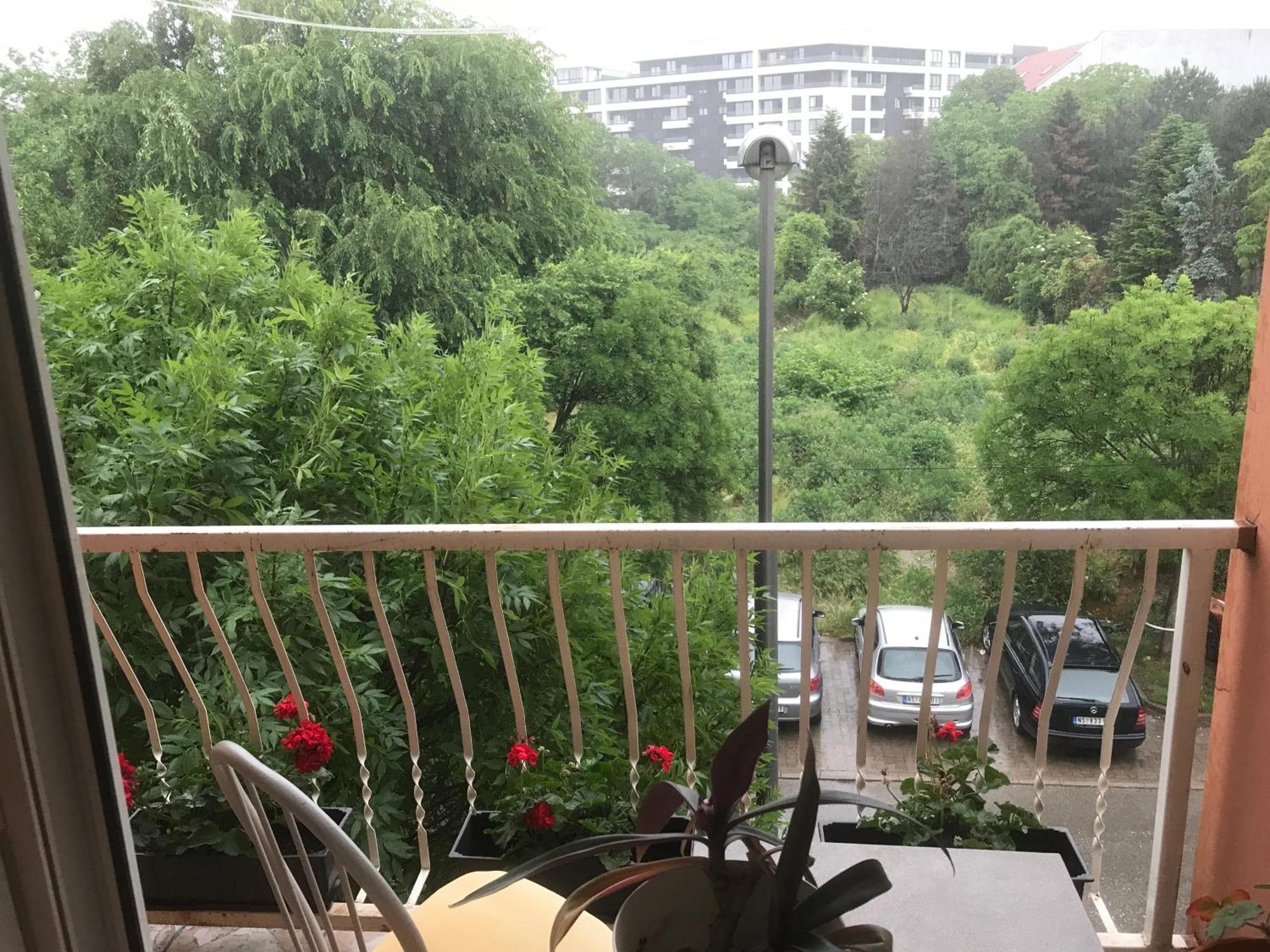 Studio Sajam Novi Sad Bagian luar foto